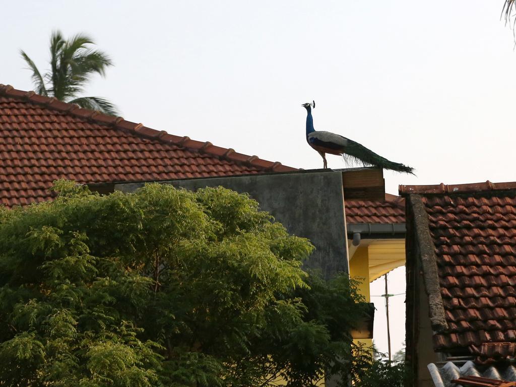 Sethun House Hotel Mirissa Buitenkant foto